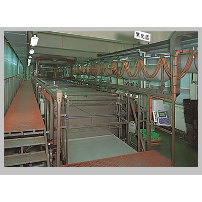 黑(棕)化處理設備